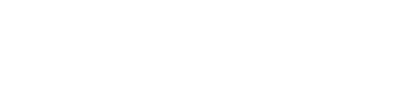 light logo
